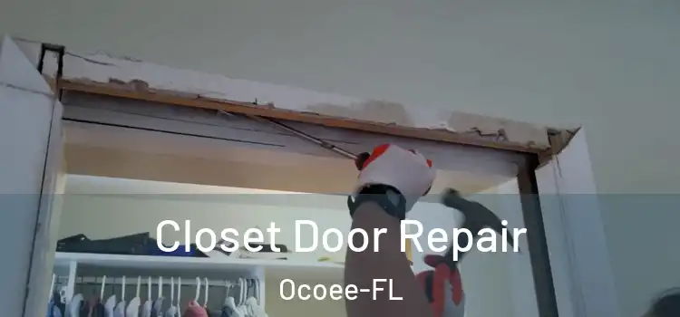 Closet Door Repair Ocoee-FL