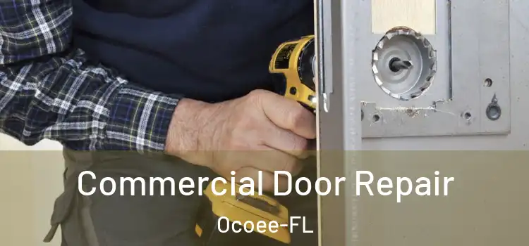  Commercial Door Repair Ocoee-FL