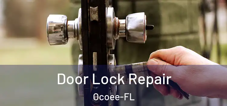 Door Lock Repair Ocoee-FL
