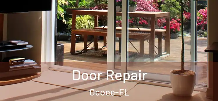 Door Repair Ocoee-FL