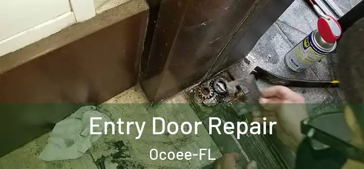 Entry Door Repair Ocoee-FL