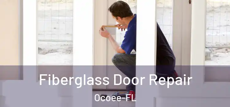  Fiberglass Door Repair Ocoee-FL