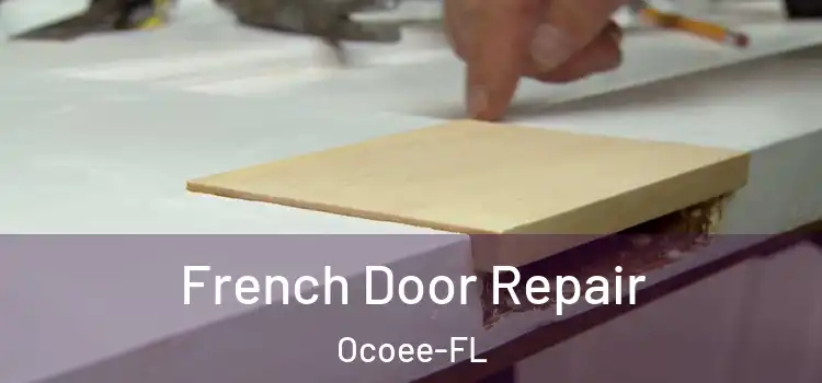  French Door Repair Ocoee-FL
