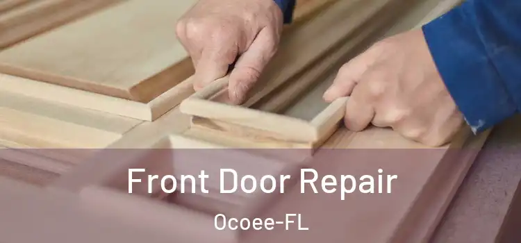 Front Door Repair Ocoee-FL
