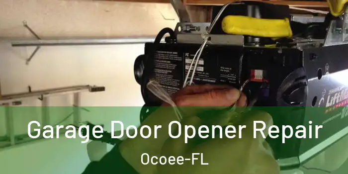 Garage Door Opener Repair Ocoee-FL