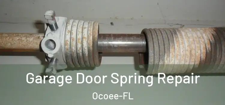  Garage Door Spring Repair Ocoee-FL
