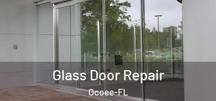 Glass Door Repair Ocoee-FL