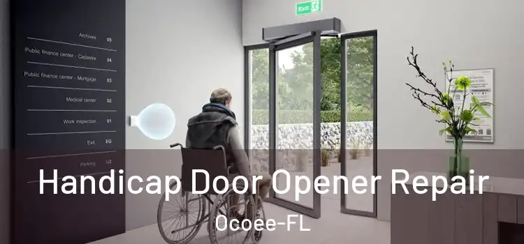 Handicap Door Opener Repair Ocoee-FL