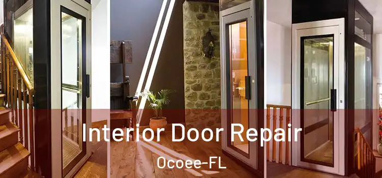  Interior Door Repair Ocoee-FL