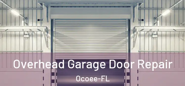 Overhead Garage Door Repair Ocoee-FL