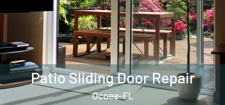  Patio Sliding Door Repair Ocoee-FL