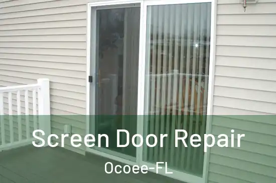 Screen Door Repair Ocoee-FL