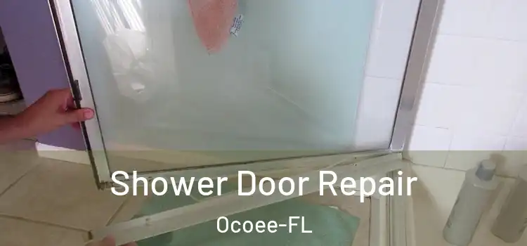 Shower Door Repair Ocoee-FL