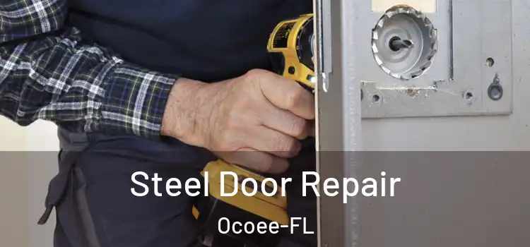 Steel Door Repair Ocoee-FL
