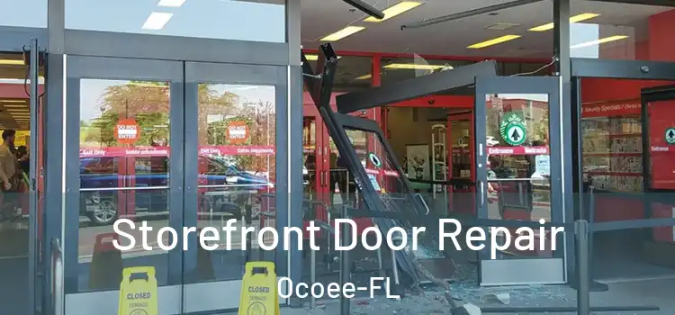 Storefront Door Repair Ocoee-FL