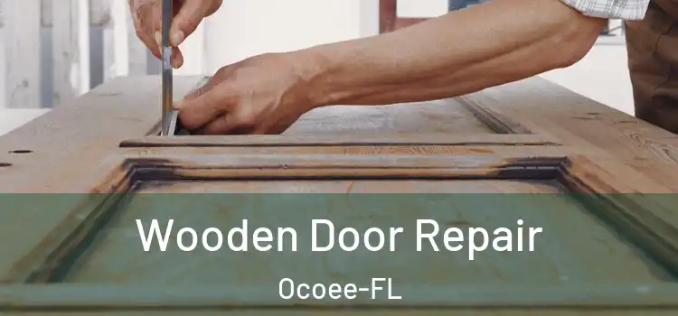  Wooden Door Repair Ocoee-FL